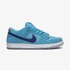 Secret Sneaker Store Online Nike Dunk Low Sb Blue Fury (New) | Nike